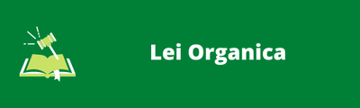 Lei Organica