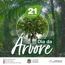 21 de Setembro - Dia da Árvore