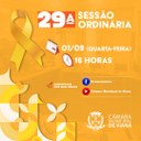 PAUTA DA VIGÉSIMA NONA (29ª) SESSÃO ORDINÁRIA 